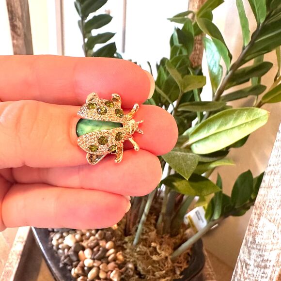 Ladybug Brooch Beetle pin Lady Bug Brooch Unique Pin Gift Montessori - Picture 3 of 4